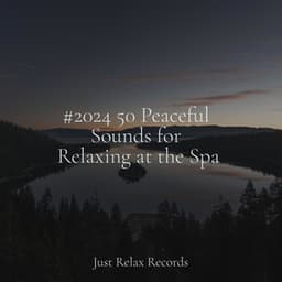 #2024 50 Peaceful Sounds for Relaxing at the Spa - Música a Relajarse