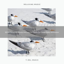 White Noise Of Waves And Mother Earth For Good Deep Relaxation - The Noise Project