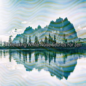17 Relaxing White Noise Sounds For Zen - White Noise For Baby Sleep