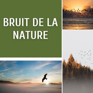 Bruit de la nature - Club de Détendre Tibétain
