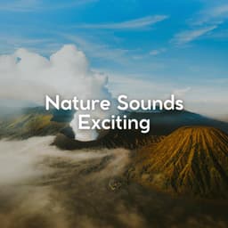 Nature Sounds Exciting - Nature Sound Series