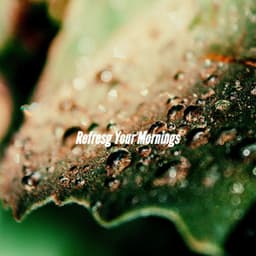 Refresg Your Mornings - Calm Dinner Music