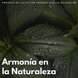 Armonía En La Naturaleza: Ambiente De Lluvia Con Truenos Para La Relajación - Resplandor Lofi
