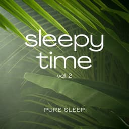Sleepy Time vol. 2 - Sounds of the Jungle