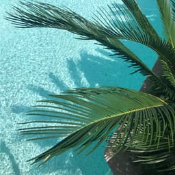 50 Wonderful Tracks for Meditation & Meditation - Lullabies for Deep Meditation