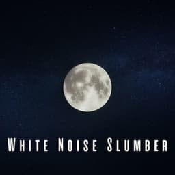 White Noise Slumber: Restful Frequency for Sleep ASMR - White Noise Sleep Therapy
