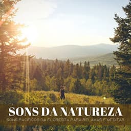 Sons Da Natureza: Sons Pacificos Da Floresta Para Relaxar E Meditar - Música de Relaxamento No Spa