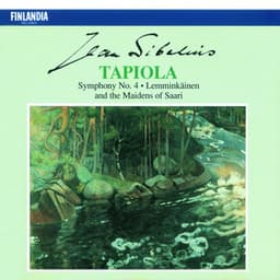 Sibelius : Symphony No.4 & Orchestral Works - Jean Sibelius