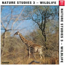 Nature Studies, Vol. 3: Wildlife - John Fox