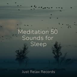 Meditation 50 Sounds for Sleep - Musica para Dormir Dream House