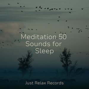 Meditation 50 Sounds for Sleep - Musica para Dormir Dream House