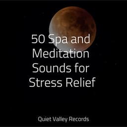 50 Spa and Meditation Sounds for Stress Relief For Dogs - Deep Focus