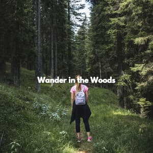 Wander in the Woods - Musica para Concentrarse