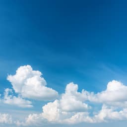 Ritmos De Concentración: Sonidos Para La Concentración - Oscilaciones neuronales