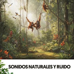 Sonidos Naturales y Ruido: Symphony of Earth's Melodies - Relajacion