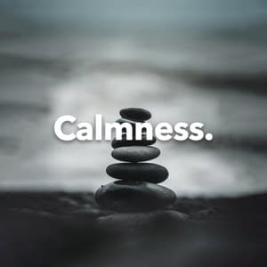 Calmness - Rain Sounds Nature Collection