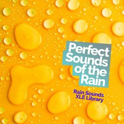 Perfect Sounds of the Rain - Rain Sounds XLE Library
