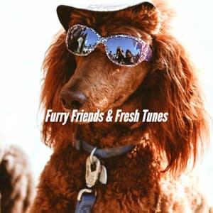 Furry Friends & Fresh Tunes - Relaxation Music For Dogs