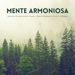 Mente Armoniosa: Sonidos De Naturaleza Fluida Y Música Relajante Para El Enfoque - Radio Naturaleza 1