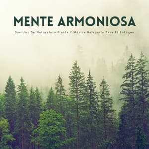 Mente Armoniosa: Sonidos De Naturaleza Fluida Y Música Relajante Para El Enfoque - Radio Naturaleza 1