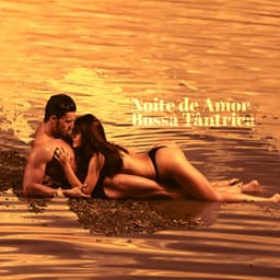 Noite de Amor Bossa Tântrica - Relaxar Piano Musicas Coleção
