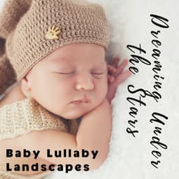 Dreaming Under the Stars: Baby Lullaby Landscapes - Morning Chill Out Playlist
