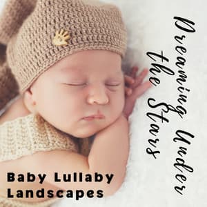 Dreaming Under the Stars: Baby Lullaby Landscapes - Morning Chill Out Playlist