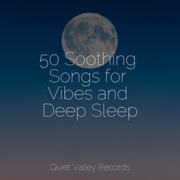 50 Soothing Songs for Vibes and Deep Sleep - White Noise Babies