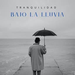Tranquilidad Bajo La Lluvia - Bonitos ruidos de lluvia