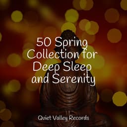 50 Spring Collection for Deep Sleep and Serenity - Especialistas de Musica para Dormir