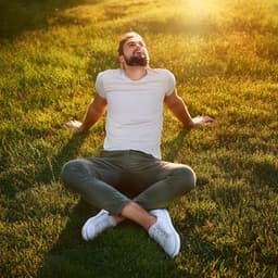 Relájese A Diario: Viaje Musical De Relajación - Vibraciones armoniosas