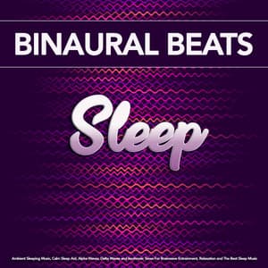 Binaural Beats Sleep: Ambient Sleeping Music, Calm Sleep Aid, Alpha Waves, Delta Waves and Isochronic Tones For Brainwave Entrainment, Relaxation and The Best Sleep Music - Sleeping Music Experience