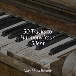 50 Tracks to Harmony Your Silent - Ivory Mood