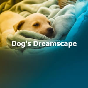 Dog's Dreamscape - Doggy Music