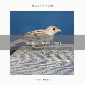La Selva de Pajaritos - Sonidos De Pajaros