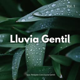 Spa: Relájate Con Lluvia Gentil Vol. 1 - Efectos especiales de sonidos de lluvia