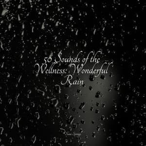 50 Sounds of the Wellness: Wonderful Rain - Nature Recordings