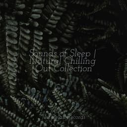Sounds of Sleep | Natural Chilling Out Collection - Música relaxante