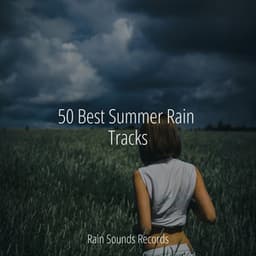 50 Best Summer Rain Tracks - Sons da natureza HD
