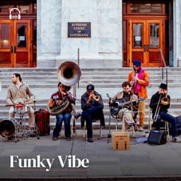 Funky Vibe - Jazz Music Therapy for Cats