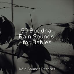 50 Buddha Rain Sounds for Babies - Sounds of Nature Relaxation