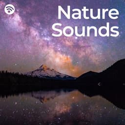 Good Night: Nature Sounds Silent - Nature Sounds for Sleep and Relaxation