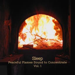 Sleep: Peaceful Flames Sound to Concentrate Vol. 1 - Concentration