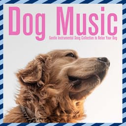 Dog Music: Gentle Instrumental Song Collection to Relax Your Dog - Relaxmydog