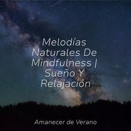Melodías Naturales De Mindfulness | Sueño Y Relajación - Musica Para Estudiar Academy