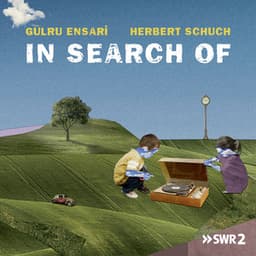 In Search of - Gülru Ensari
