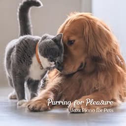 Purring for Pleasure: Jazz Piano for Pets - Chill Out Jazz Radio