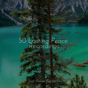 50 Lasting Peace Recordings - Ambient
