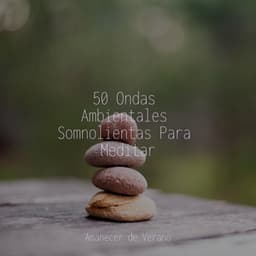 50 Ondas Ambientales Somnolientas Para Meditar - Sonidos de la Naturaleza Relajacion