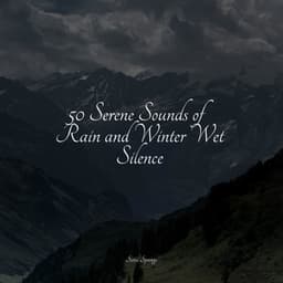 50 Serene Sounds of Rain and Winter Wet Silence - Sample Rain Library